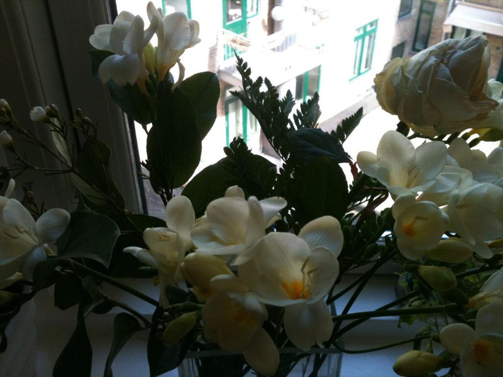 The Pea Blossom B&B Copenhagen Exterior photo